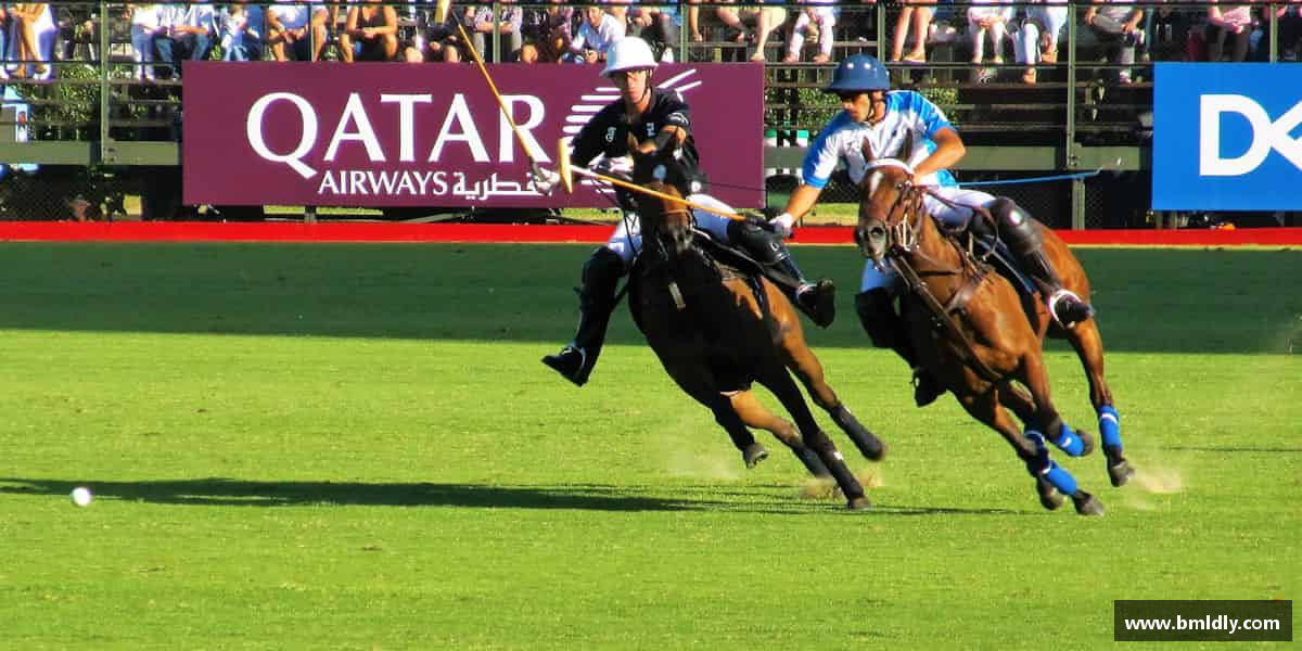 XK星空官方网站勇于迎接挑战，超越所有困境。